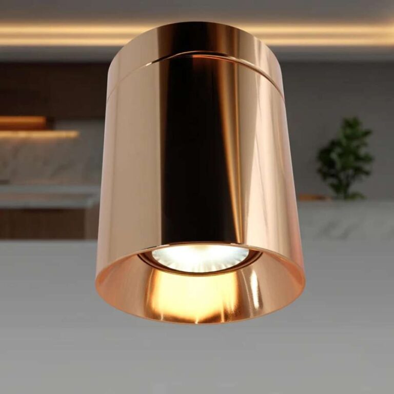Pasolite Joy Surface Downlight (PIDS 22)