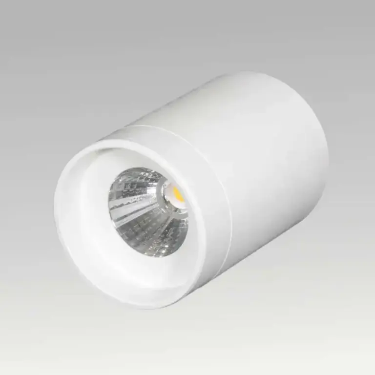 Pasolite Trump Surface LED Downlight