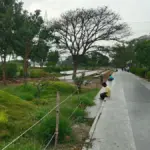Wide granite walking promenade with landscaped grass mounds beside Kumaraswamy Lake, R.S. Puram, Coimbatore